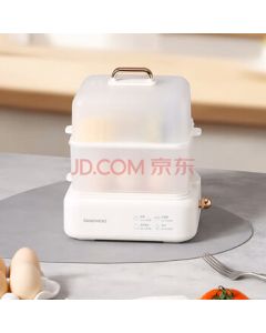 Home Egg Cooker Small Multi-function Steamer for Eggs and Buns Double Layer DYZD-20W3