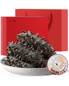 Jounian Dalian National Standard Light-Dried Sea Cucumber Gift Box 100g 18-26 Pieces JD Self-Operated Liaoning Sea Cucumber Seafood Dried Mid-Autumn Festival Gift Box