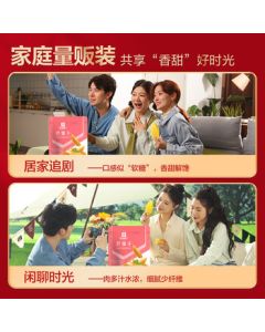 ASICS Men's Support Running Shoes GT-1000 10 Dark Gray 42