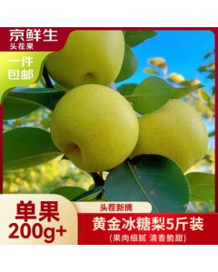 Jingxiansheng Anhui Dangshan Golden Rock Sugar Pear, Net Weight 5 Jin, Single Fruit 200g+, Fresh Fruit Direct from Origin