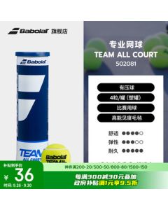 Babolat TEAM Series Competition Tennis Balls Babolat Tennis 4-Pack