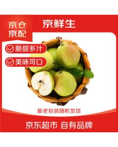 Jingsiansheng Xinjiang Korla Fragrant Pear, Net Weight 10 Jin, Premium Grade, Single Fruit 120g+, Fresh Fruit