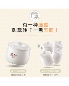 Bear Electric Stew Pot, Electric Steamer, Soup Pot, White Porcelain Stew Pot, Household Ceramic Electric Casserole with Water Separation Stewing, 5-Pot Porridge Health Pot, Model DDZ-B45B2