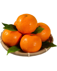 Jingsxiansheng Jiangxi Xunwu Tangerines, Net Weight 4.5 Jin (2.25kg), Single Fruit 60mm+, Mid-Autumn Festival Fruit, Direct from Origin with Free Shipping