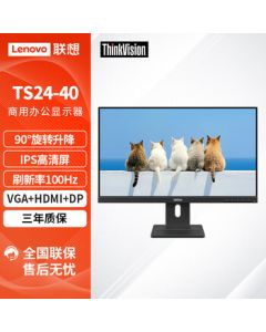 Lenovo ThinkVision 23.8-inch Monitor for Office Use with Narrow Bezels [VGA+HDMI+DP/IPS Screen/Swivel & Height Adjustment/Speakers/3-Year Warranty] TS24-40