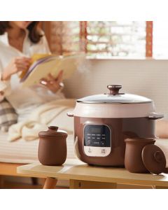 Bear Electric Steamer, Ceramic Pot, Double-Boiler, Soup Pot, Bird's Nest Steamer, with Timer and Preset Function DDZ-C25X7 2.5L