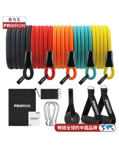 PROIRON Pull Rope Resistance Band Elastic Tube Band Full-Level 12-Piece Set