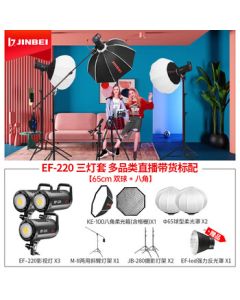 JINBEI EF-220 High Brightness Beauty LED Streaming Light 220W High-Power Fill Light for Multi-Category Live Commerce, Octagonal Softbox + Dual Soft Light Spheres, 3-Light Kit