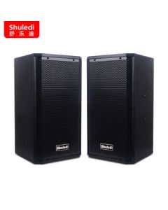 Shuledi K-800 Conference Speaker System for Meeting Rooms, Hotels, Shops, Factories, Dance Teaching, Training, Speeches, and Background Music, Wall-Mounted or Floor-Standing with On-Site Installation (2x10 Inches)