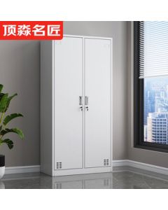 Dingmiao Master Steel Two-Door Locker, Metal Cabinet for Employee Storage with Lock, Double Door Wardrobe for Dormitory, Home Use