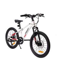 JingDong JingZao 20-inch Kids Bike for Ages 6-12-13, Mountain Bike for Students with 7-Speed Shimano Disc Brakes