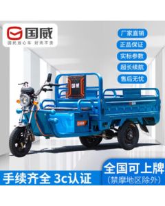 Guo Wei Shen Bao 8 Electric Three-Wheel Motorcycle Cargo Carrier for Home & Express Use, 1.8*1.1m Loading Bed, Hill-Climbing Version [60V32A]