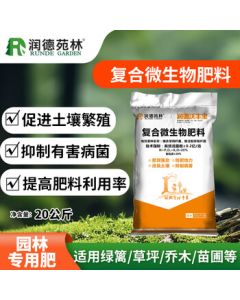 Daphne Comfortable and Fashionable Platform Sneakers for Women - Versatile Soft-Soled Casual Shoes in Beige, Size 37