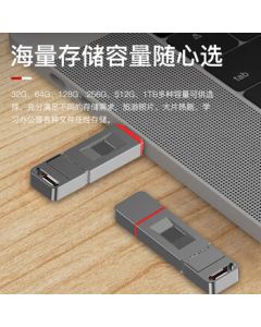 Lenovo ThinkPlus 256GB Fingerprint Protection USB Drive USB3.2 & Type-C Dual Interface Password Anti-Leakage Mobile & Computer Office Flash Drive FU100 Series