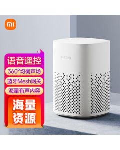 Xiaomi XiaoAI Speaker Play - Bluetooth WiFi, XiaoAI Voice Assistant, Smart Alarm Clock with Remote Control