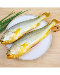 Hongshun Triple-Cleaned Yellow Croaker 800g/2pcs, Descaled, Degilled, and Gutted, Fresh Fish, Seafood, Large Yellow Croaker