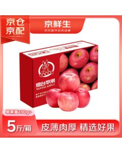 JINGSEN Yantai Red Fuji Apples, Net Weight 5kg, Single Fruit 190g+, Mid-Autumn Festival Fruit Gift Box