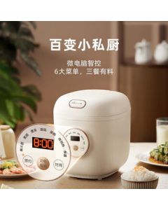 Bear Mini Rice Cooker for 2, 1.2L Smart Multi-Functional Pot with Preset Timer for Cooking, Soup, Cake - Model DFB-C12L9