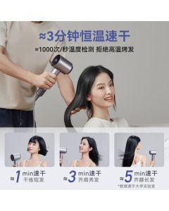 DAEWOO High-Speed Hair Dryer for Home Use, High-Power Negative Ion Quick-Dry Low-Noise Hair Dryer HD04 Purple Smoke Gray