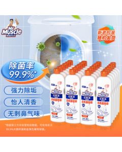 Mr Muscle Toilet Cleaner - Bulk Pack 480g*24 Bottles - Toilet Bowl Cleaner, Removes Stains & Odors
