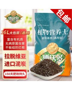 DAPHNE Niche Ugly-Cute Sports Sandals for Women, Hollow Breathable Dad Shoes, Grey 35