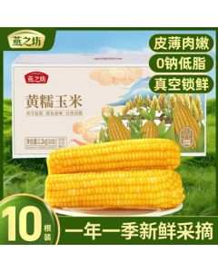 Yanzhifang Yellow Sticky Corn on the Cob 4.4lb (10 Pieces) Vacuum-Packed Fresh Sticky & Healthy Breakfast