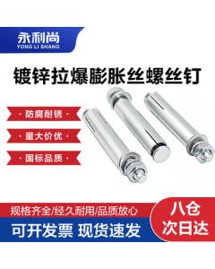 Yonglishang National Standard Galvanized Iron Expansion Bolt M10*100 (80 Pieces)