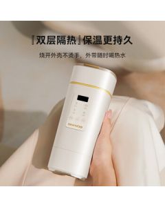 DAEWOO Portable Trendy Kitchen Electric Kettle 450ML D9PRO