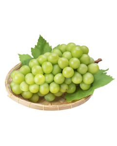 Jingxiansheng Premium Sunshine Rose Grape Gift Box 5-5.5lb Mid-Autumn Festival Edition 3-5 Bunches Single Fruit 13g+ Fresh Fruit