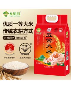 HUAWEI WATCH 5 42mm Aurora Green Smartwatch | HarmonyOS AI Fitness | eSIM Independent Calling | X-TAP Smart Window | Body Temperature, Blood Oxygen & Breathing Monitoring | Wrist-based XiaoYi Assistant