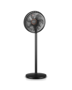 Royalstar (Royalstar) [Hot Pick] AC Fixed-Speed Fan, 7-Blade Gentle Breeze Floor/Table Fan, High Airflow Energy-Saving Oscillating Fan, Low-Noise Office Use FD-30L501