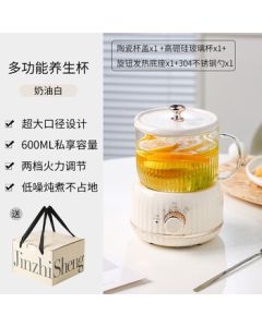 Meizhishang High Aesthetic Insulated Electric Heating Cup - Office & Home Mini Wellness Kettle Multi-functional Insulated Tea Set Gift Package