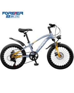 FOREVER Kids Bicycle for Ages 6-10-15, Teen Mountain Bike with Macaron Basket, 20-inch Wheels Suitable for Height 130-150cm