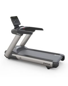 SHUA SH-T8919 V9 Commercial Electric Treadmill S