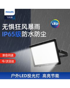 Philips (PHILIPS) Mingxin High-Power LED Floodlight Waterproof Outdoor Projection Light IP65 Floodlight 100W BVP150 White Light (6500K)