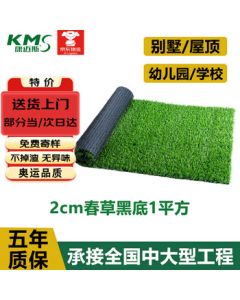 Comax Simulation Turf Carpet Mat Artificial Grass for Balcony Outdoor 20mm