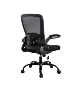 Bajiu Jian S5 Student Chair, Study Computer Chair, Writing Adjustable Height Seat, Swivel Office Chair, Home Study Desk Stool