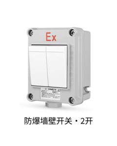 SD'ZM Explosion-Proof Switch Explosion-Proof Wall Switch ExdeIICT6Gb Explosion-Proof Lighting 220V10A Double Switch