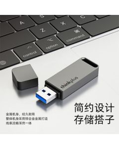 Lenovo ThinkPlus 256GB USB3.1 Business Office Flash Drive, Mini Portable Metal USB Drive TU100 Series, Gray