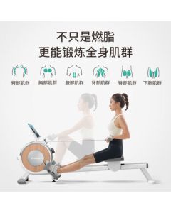 MERACH Silent Magnetic Rowing Machine for Home Use, Indoor Aerobic Exercise Q1S Fat-Burning Personal Training/16-Level Magnetic Control/Exclusive White