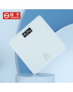Yangzi JS-2629 Weight Scale
