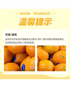 DAPHNE Women's Chunky Dad Shoes Platform Sneakers Casual Fashion Versatile 2025 New Summer Collection