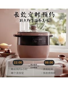 Bear Electric Stew Pot, Soup Pot, Purple Sand Pot, Stew Pot, Double-Boiler Electric Clay Pot for Congee, Bird's Nest, and Steaming with 2.5L Capacity (Model: DDZ-B25T6)