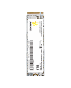 Gloway 1TB SSD M.2 NVMe PCIe 4.0x4 7450MB/s Yangtze Memory TLC Yi Series