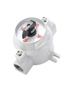 CHAXFB Explosion-Proof Lighting Switch SW-10 220V Explosion-Proof Switch ExdeIIBT6Gb Standard Model