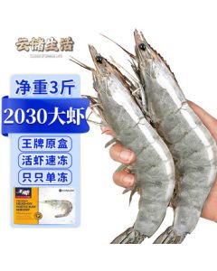 Yunchu Life Premium Jumbo Fresh Frozen Ecuadorian White Shrimp, Original Imported Shrimp 2030, Net Weight 1.5kg