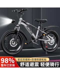 AO SHI LONG Kids Bicycle for Students Aged 6-10, 20-Inch Bike for Children Up to 12 Years Old, Mountain Bike with Gears, Direct from Manufacturer