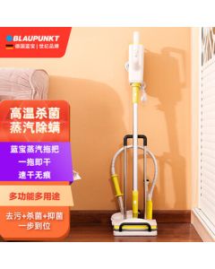 BLAUPUNKT German Blue Point Handheld Portable Steam Mop - Multi-Function Steam Cleaner with Wet and Dry Cleaning, BP-ZQTB206