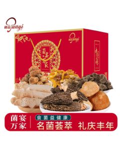 Mushroom Delicacies Premium Gift Box - 6 Cans Assorted Dried Mushrooms, Specialty Gourmet Gift Set, Mid-Autumn Festival Present for Elders