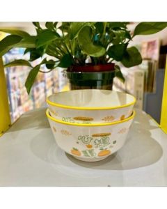 Ceramic bowl 4.6 inches